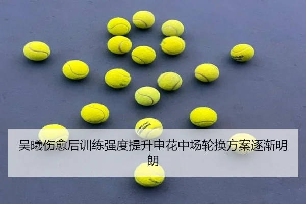 吴曦伤愈后训练强度提升申花中场轮换方案逐渐明朗 | YYSports